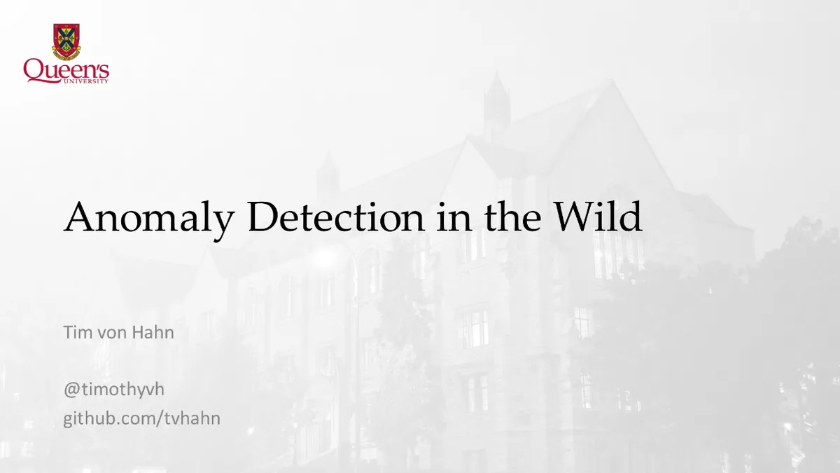 Anomaly Detection in the Wild