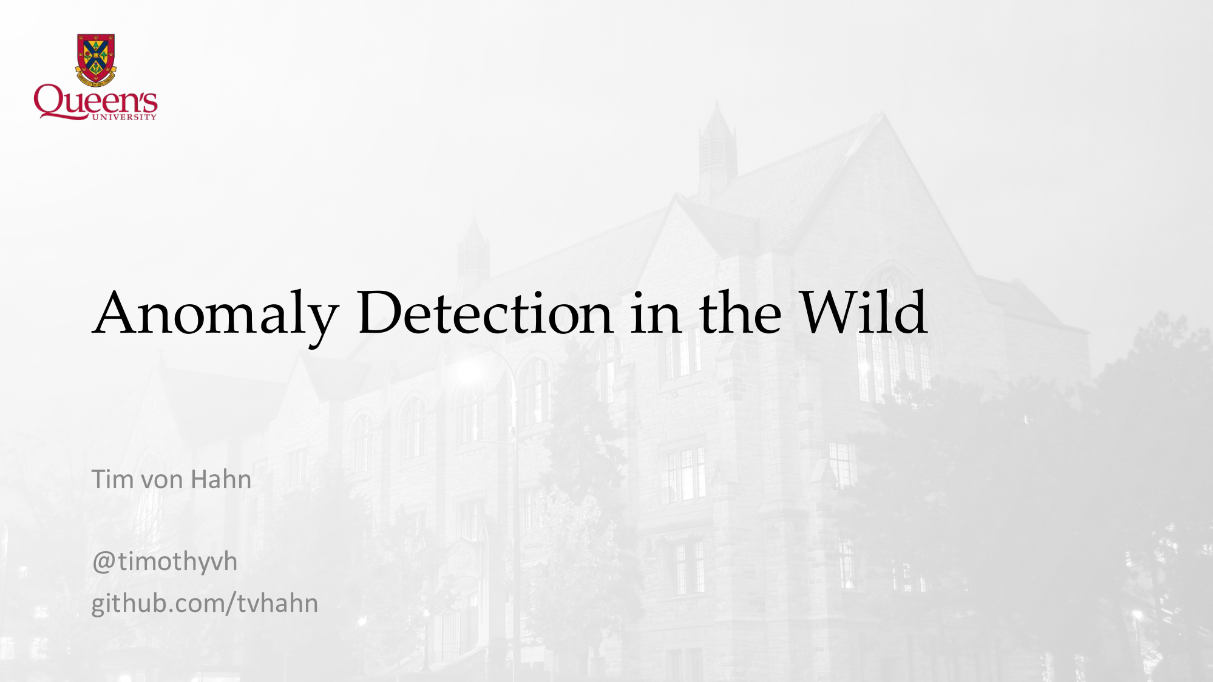 Anomaly Detection in the Wild front page.