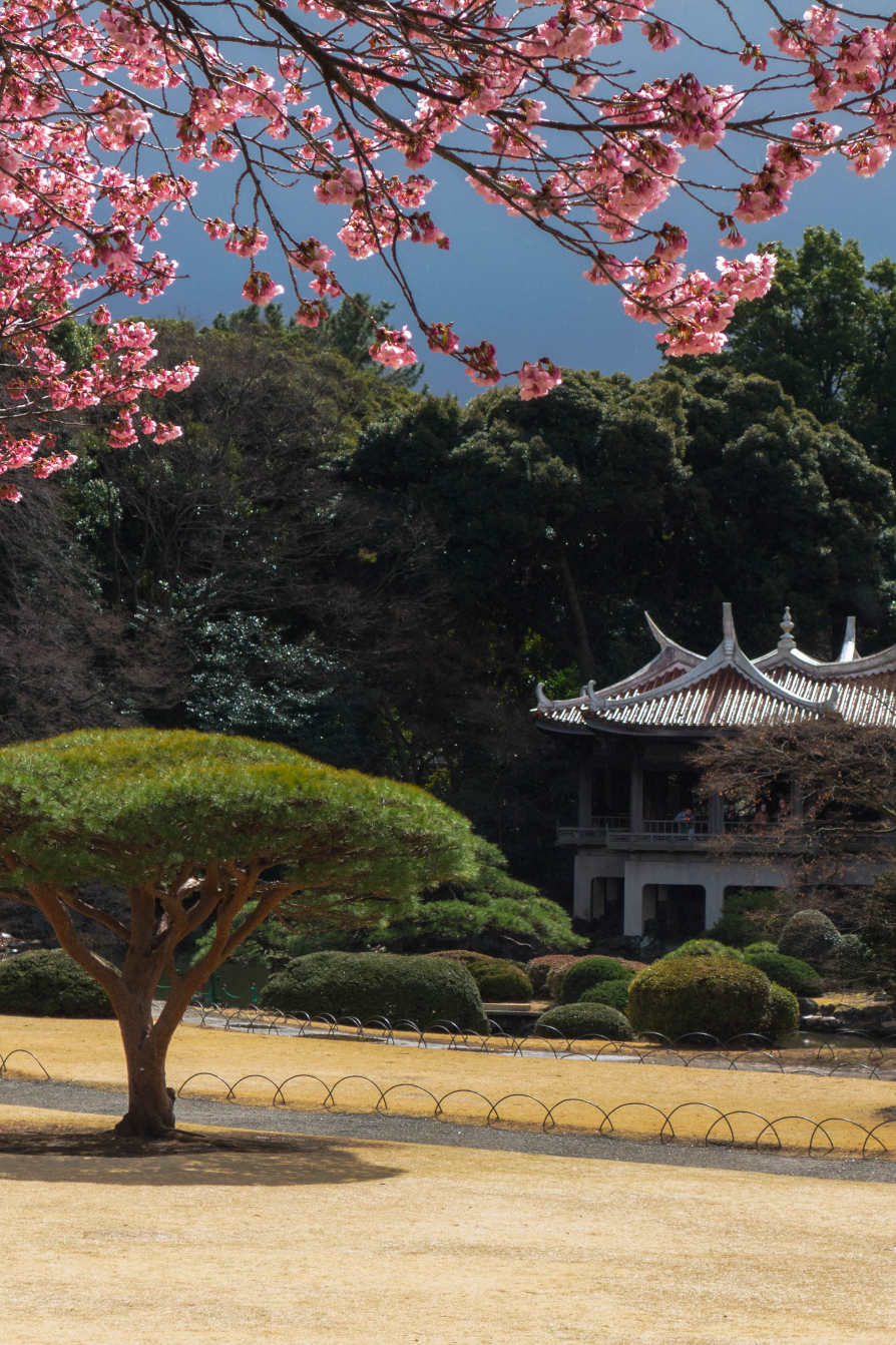 /img/finding-inspiration-in-random-ways/tokyo_garden.jpg